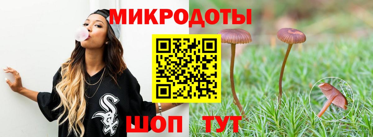 Усть-Джегута  Псилоцибиновые грибы Cubensis  Вход с VPN  Псилоцибиновые грибы Cubensis 